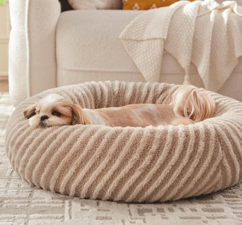 dog bed removable cover