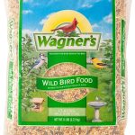 bird seed mix