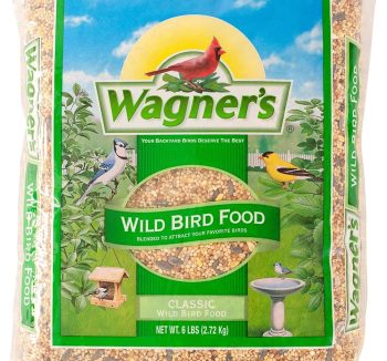 bird seed mix