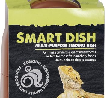 bearded dragon food