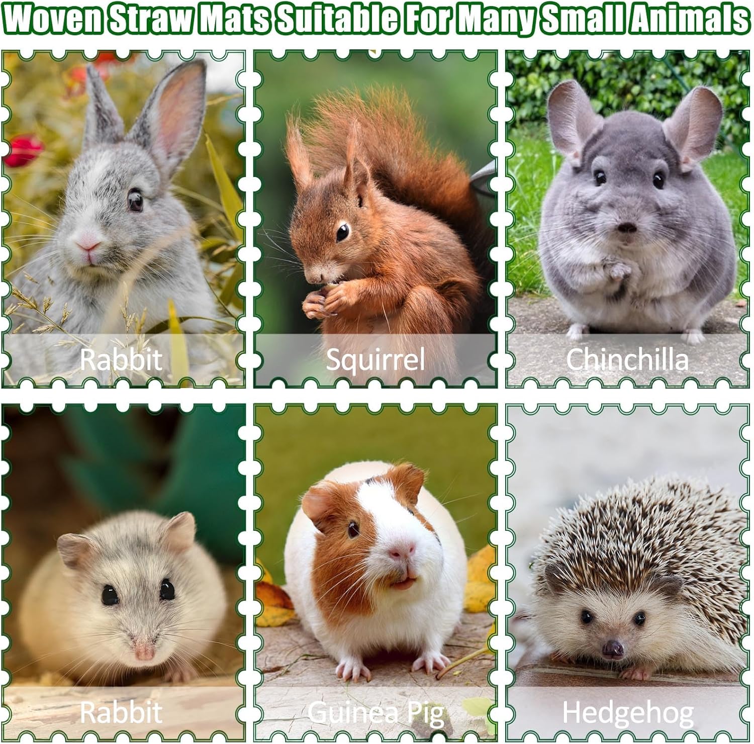 2 PCS Rabbit Grass Mats, Natural Straw Hay Woven Rabbit Bed Cage Mats Pet Handmade Bedding, Sleeping Chewing Nesting and Toys for Hamster Bunny Chinchilla Bird and Other Small Animal (2Pcs) - Happypetzone.online - Image 6