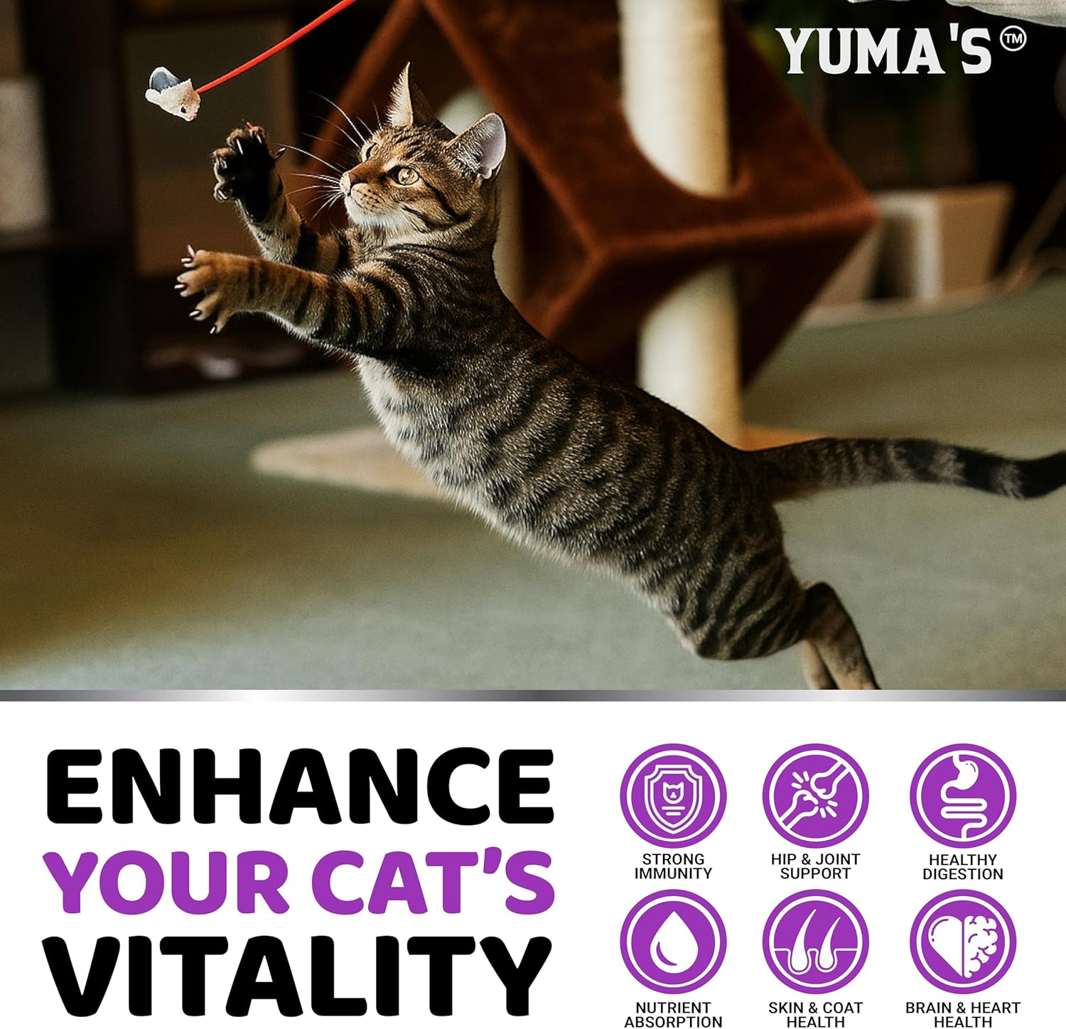 Cat Multivitamin Chews - Cat Vitamins and Supplements - Taurine & Lysine for Cats - Omega-3, Glucosamine, Cranberry - Skin & Coat, Hip & Joint Support - Immune Health, Skin, Heart, Digestion - Happypetzone.online - Image 4