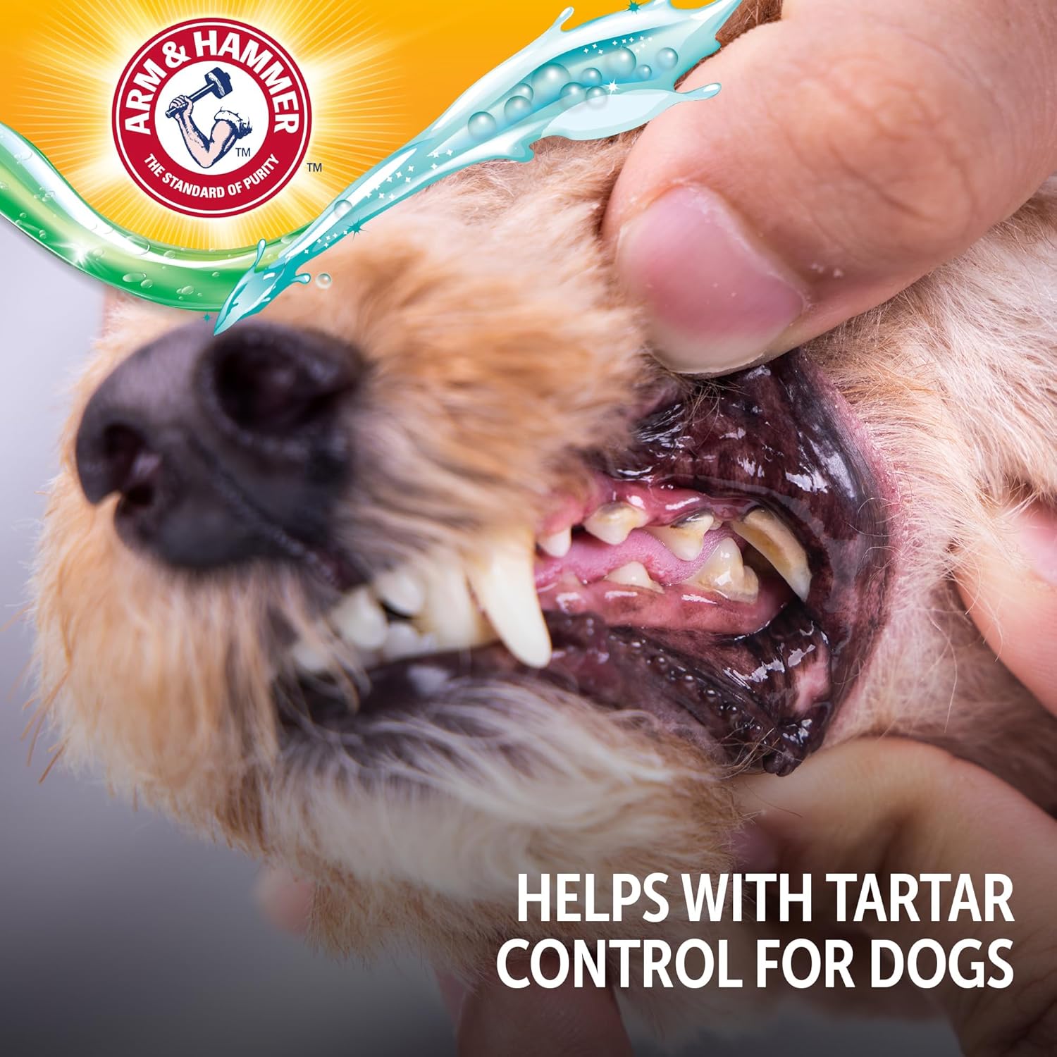 Arm & Hammer Complete Care Brushless Dental Kit for Dogs – Includes No-Brush Oral Gel + Dog Dental Spray, Fresh Breath, Tartar Control, Baking Soda Enhanced Dental Dog Supplies, 4 Fl Oz Each - Happypetzone.online - Image 10