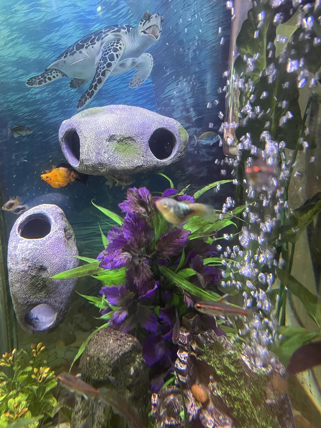 Aquarium Decor Magnetic Rock Cave Ornament – Wall-Mounted Fish Tank Accessory - Happypetzone.online - Image 4