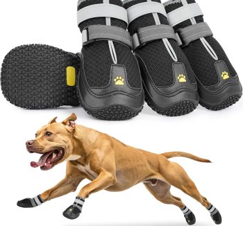 dog shoes boots