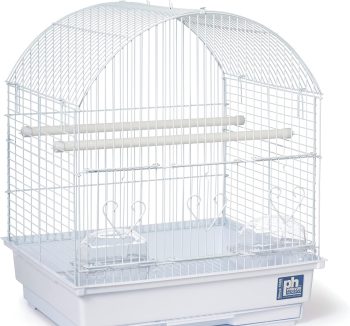 bird cage setup kit