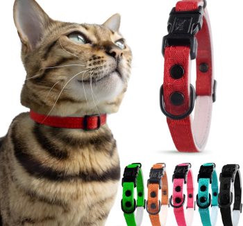 cat collar nylon durable