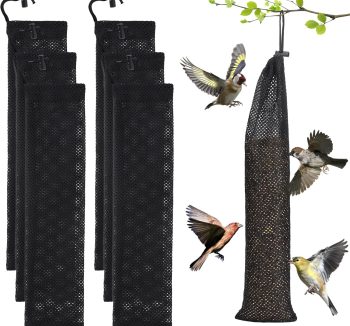finch bird food