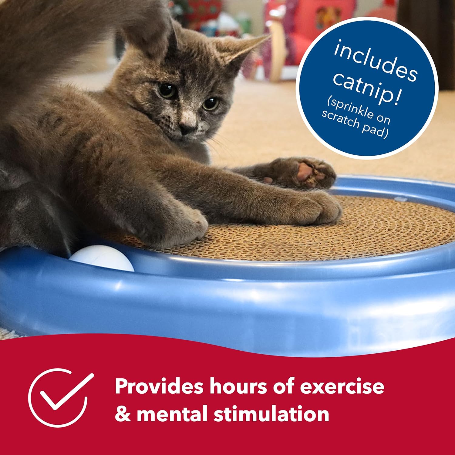 Coastal Pet Turbo Scratcher Cat Toy - Cardboard Cat Scratcher Pad with Cat Toy Ball Track and Catnip (1 Pack) - Happypetzone.online - Image 3