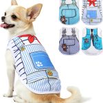 dog outfit summer