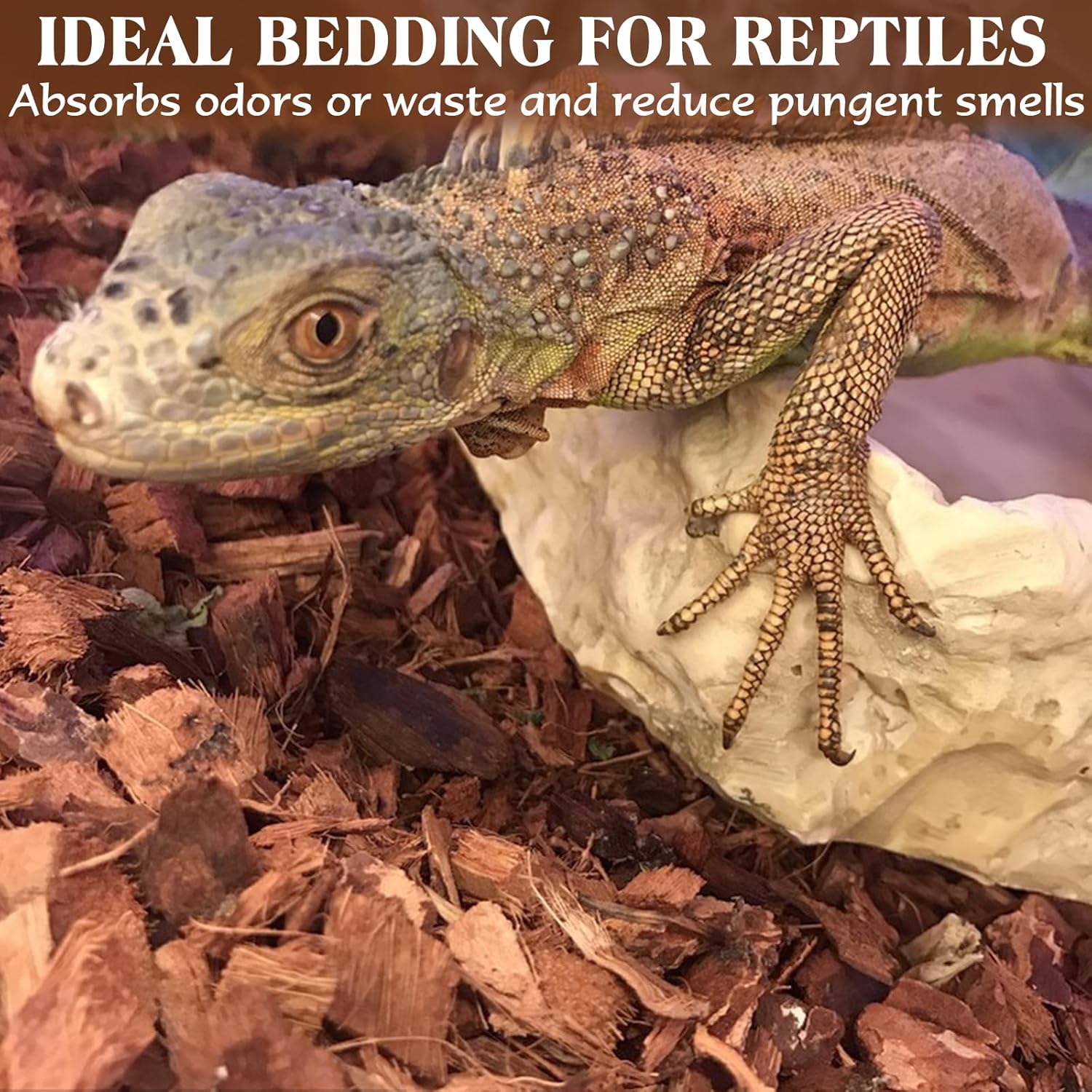 ZeeDix 10LBS Coconut Husk Chip Substrate for Reptiles, 72QT Compressed Organic Coco Coir Chips for Snake Habitat, Reptile Bedding for Ball Python, Tortoises, Geckos, Lizards Terrarium Tanks - Happypetzone.online - Image 6