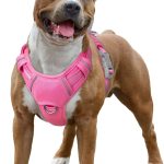 dog harness no pull