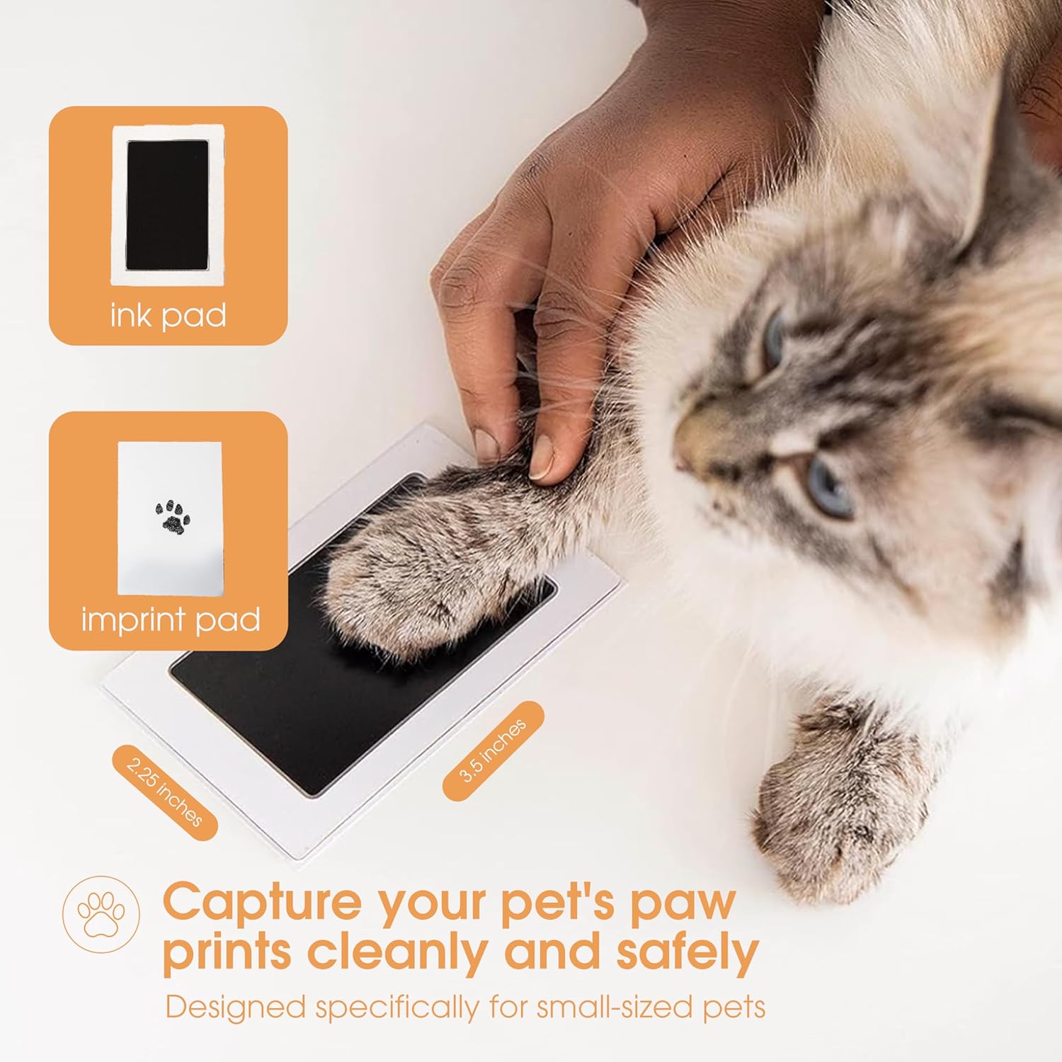 Pearhead Paw Print Clean Touch Ink Pad Kit for Dogs and Cats, Pet Owner Keepsake, DIY Inkless Paw and Nose Print Impression Set, Small/Medium - Happypetzone.online - Image 2
