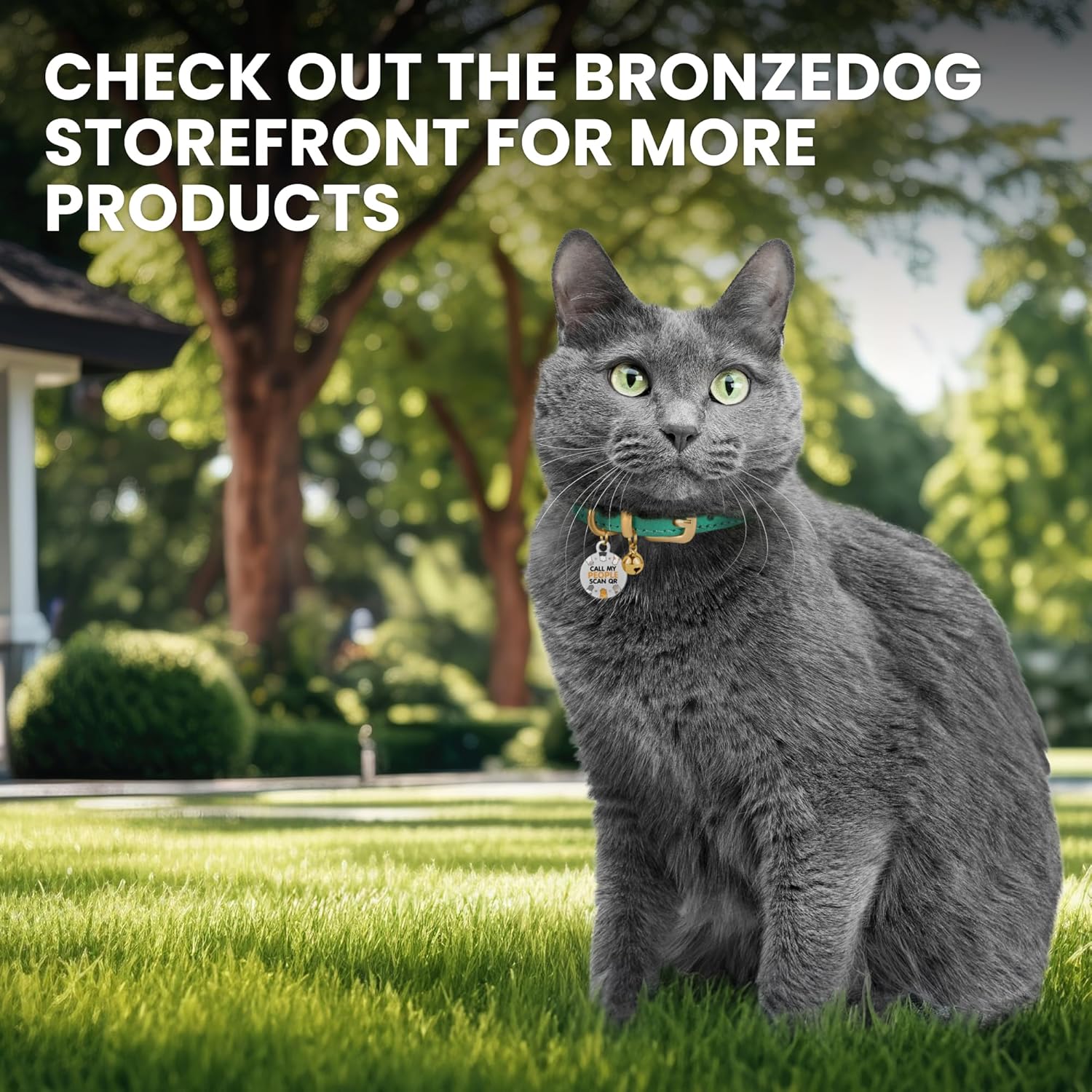 BRONZEDOG Leather Cat Collar with Removable Bells Non Breakaway Kitten QR Tag for Girl Boy (7" - 9" for Cats, Black & Gold) - Happypetzone.online - Image 6