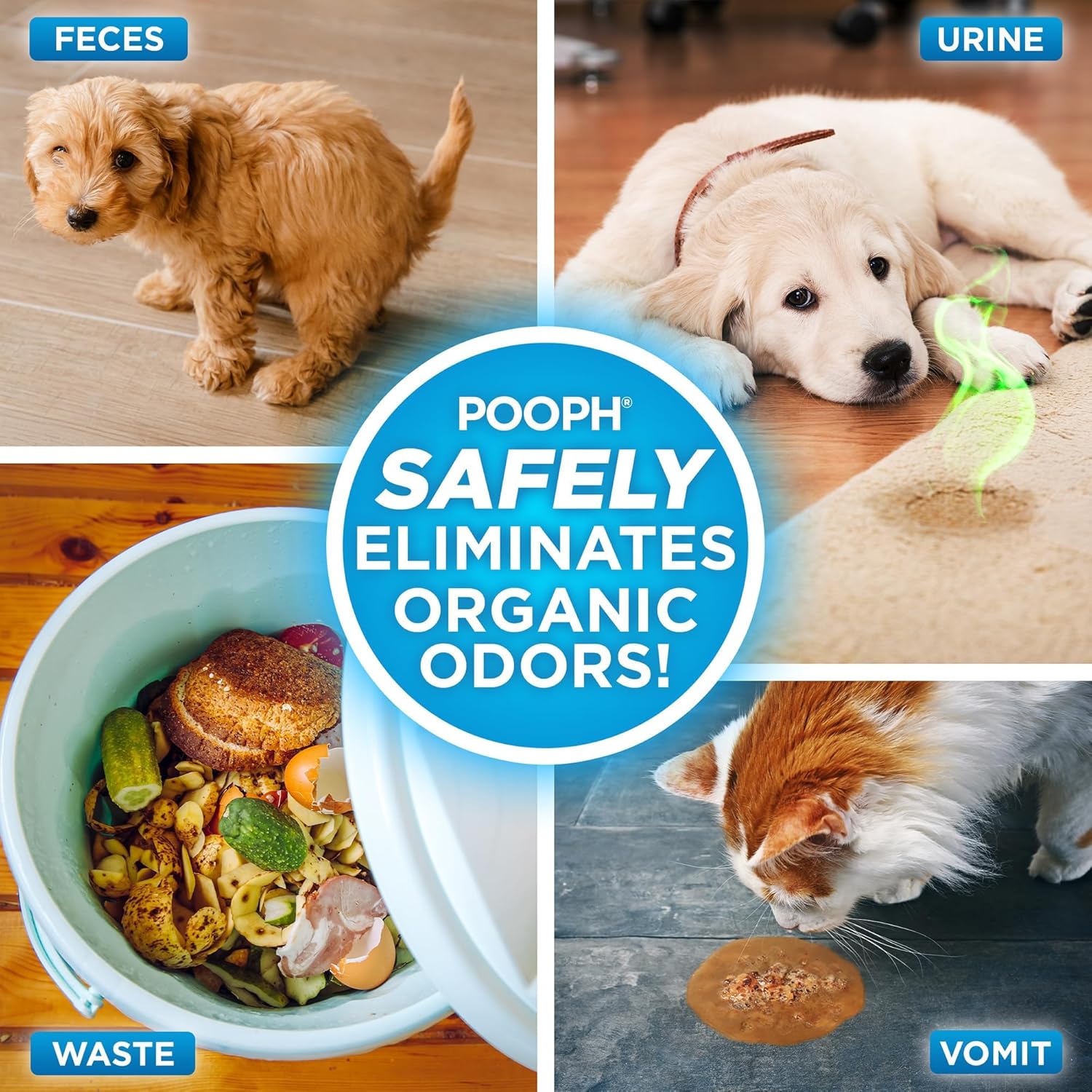 POOPH Pet Odor Eliminator Spray 32oz 2 Pack Fragrance Free Odor Remover for Dogs and Cats Urine Poop Pee Deodorizer for Carpet Furniture and Litter Box - Happypetzone.online - Image 3