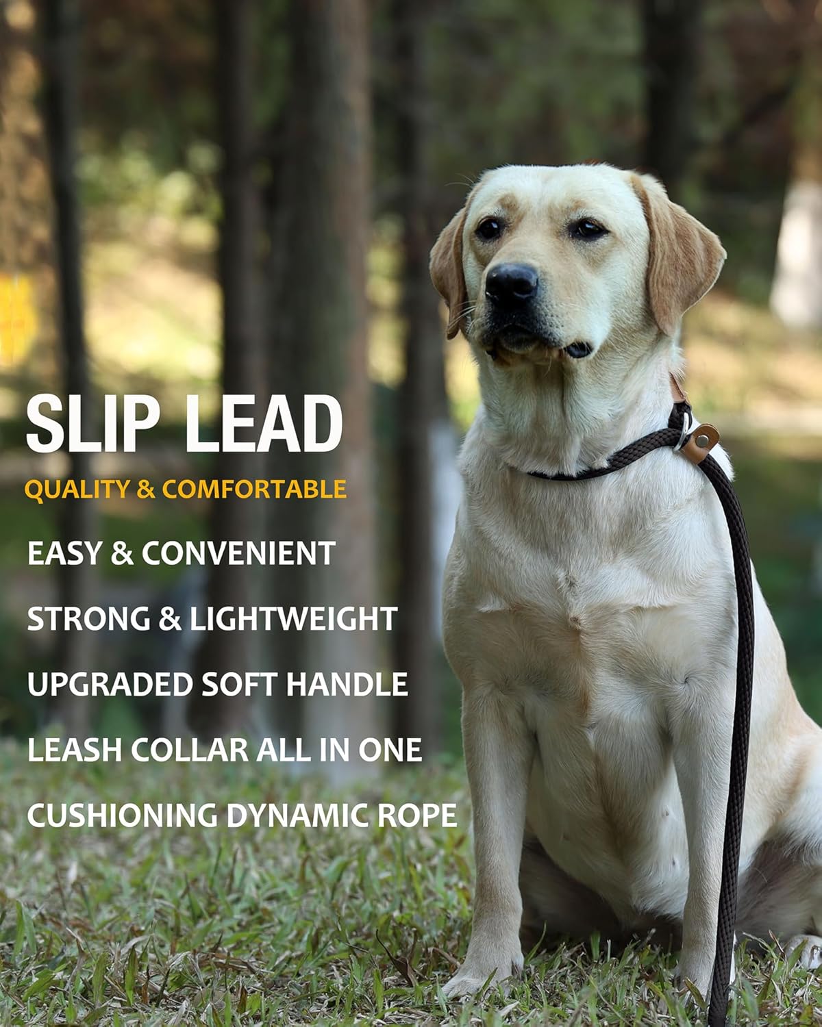 lynxking Dog Leash Slip Lead 5 6 8 FT Dog Training Leash Strong Heavy Duty Rope No Pull Training Lead Leashes for Dogs - Happypetzone.online - Image 4
