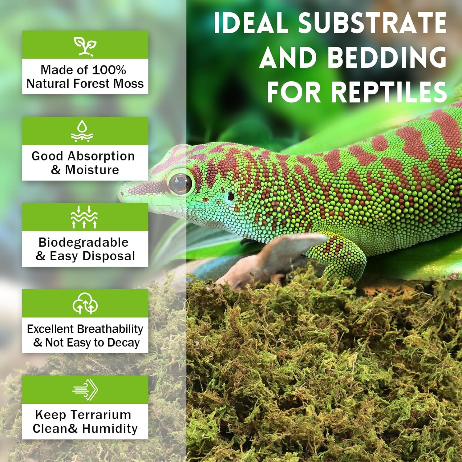 Riare 3.5 OZ Premium Sphagnum Moss for Reptiles- 4QT Natural Live Moss Reptile Moss Bedding for Terrarium, Hatching, Forest Sphagnum Moss Reptile Substrate for Snakes, Gecko, Turtles, Frogs, Leopard - Happypetzone.online - Image 3