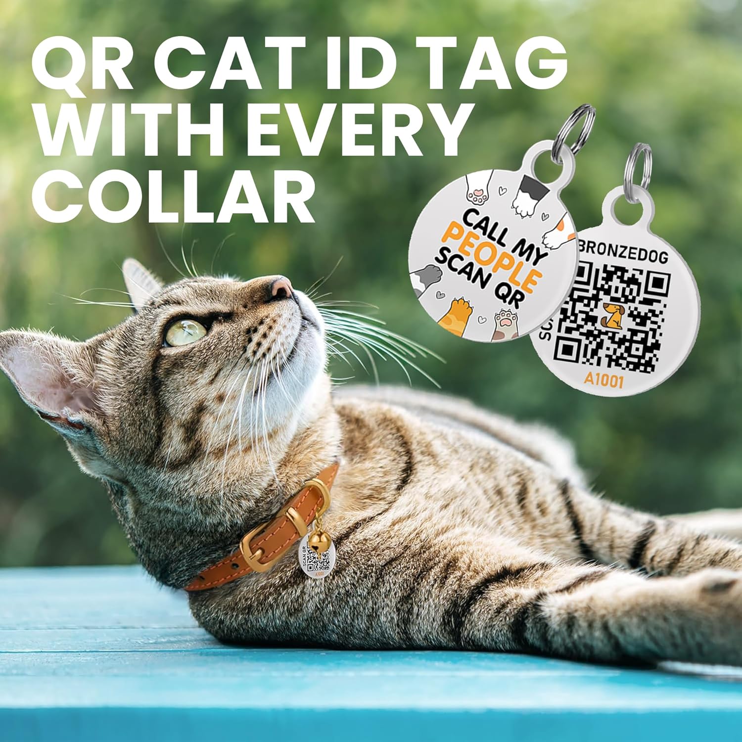 BRONZEDOG Leather Cat Collar with Removable Bells Non Breakaway Kitten QR Tag for Girl Boy (7" - 9" for Cats, Black & Gold) - Happypetzone.online - Image 3