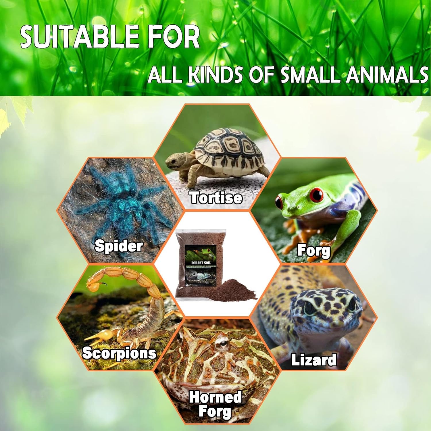 BNOSDM Reptile Soil Substrate Fluffy Small-Strand Reptile Substrate and Snake Bedding Clean Natural Terrarium Bedding for Lizards Snakes Tortoises Tarantulas - Happypetzone.online - Image 7