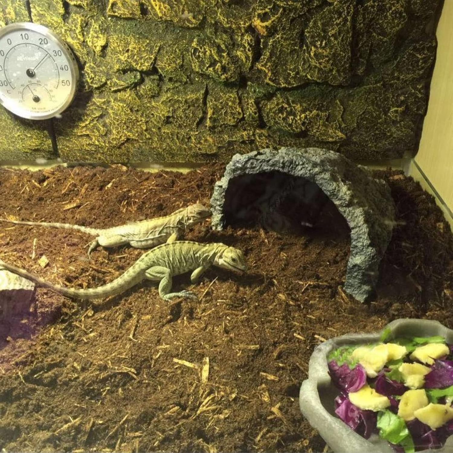 BNOSDM Reptile Soil Substrate Fluffy Small-Strand Reptile Substrate and Snake Bedding Clean Natural Terrarium Bedding for Lizards Snakes Tortoises Tarantulas - Happypetzone.online - Image 3