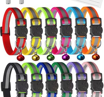 cat collar for kittens