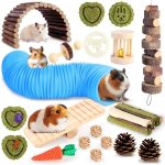 guinea pig toys fun
