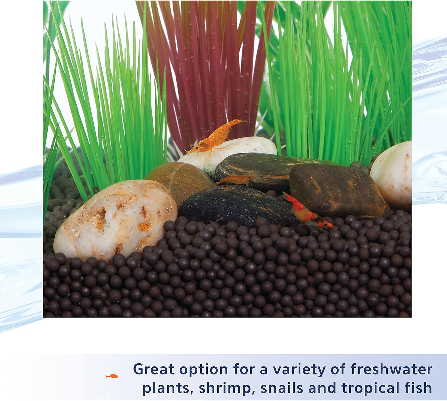 Aqueon Plant and Shrimp Aquarium Substrate, Aqua Soil for Fish Tanks, 5 Pounds - Happypetzone.online - Image 6