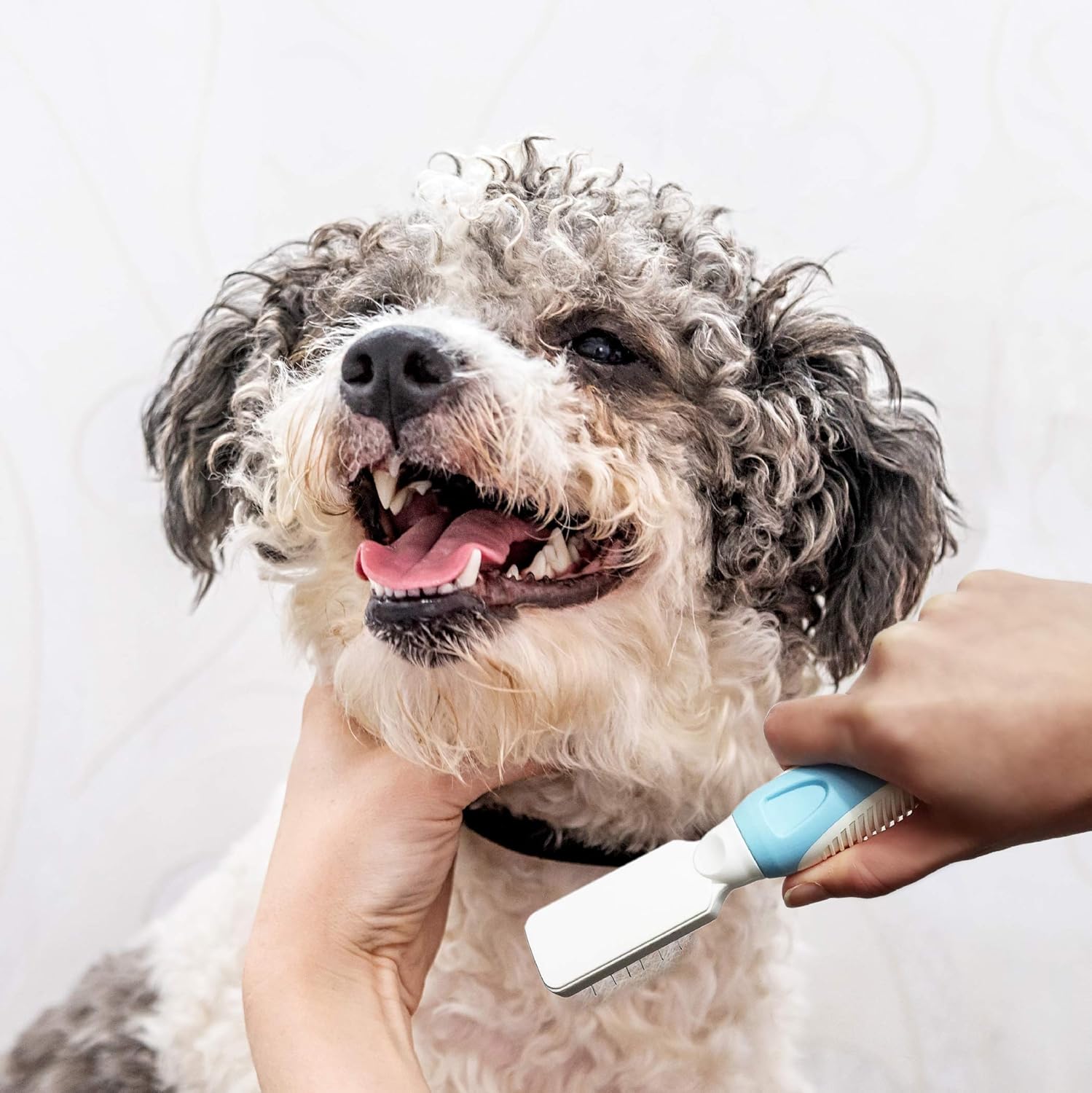 Pets First Professional Pet Mat Remover - Dematting Tool for Grooming Cats & Dogs - Removes Matted Fur, Tangles, Knots, Loose Hair & Dirt - Stainless Steel, Gentle Teeth, Soft Comfort Grip Handle,Blue - Happypetzone.online - Image 6