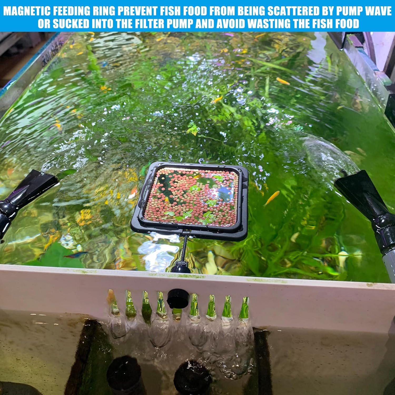 Magnetic Fish Feeding Ring, Floating Aquarium Feeder Ring for Fish Tank,Betta Feeding Ring for Goldfish, Guppy, Fresh/Saltwater Tanks- Prevents Food Scattering and Anti-Falling Off(Patented Product) - Happypetzone.online - Image 6