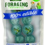 bird toys interactive