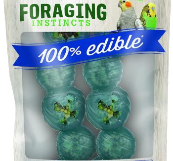 bird toys interactive