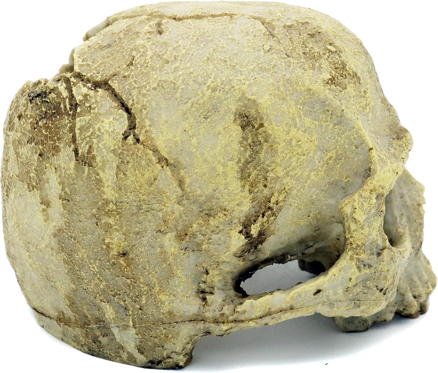 JIHAQUA Aquarium Resin Skull, Reptile Tank Accessories Ornament Basking Snake Hide Decor Habitat - Happypetzone.online - Image 4