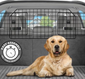 dog car barrier safety