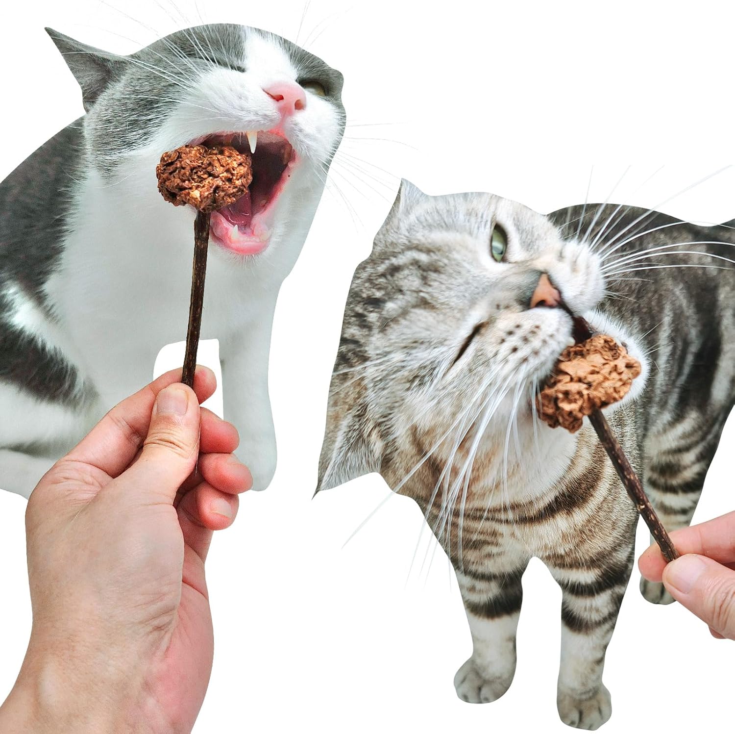 4 PCS Silvervine Stick Cat Toy with Gall Fruit – Natural Lollipop-Shaped Matatabi Chew Toy for Cats – Catnip Alternative for Teeth Cleaning, Anxiety Relief & Interactive Play – 4.8" Cat Dental Toy - Happypetzone.online - Image 7