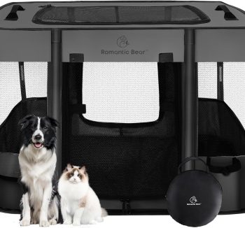 dog travel crate