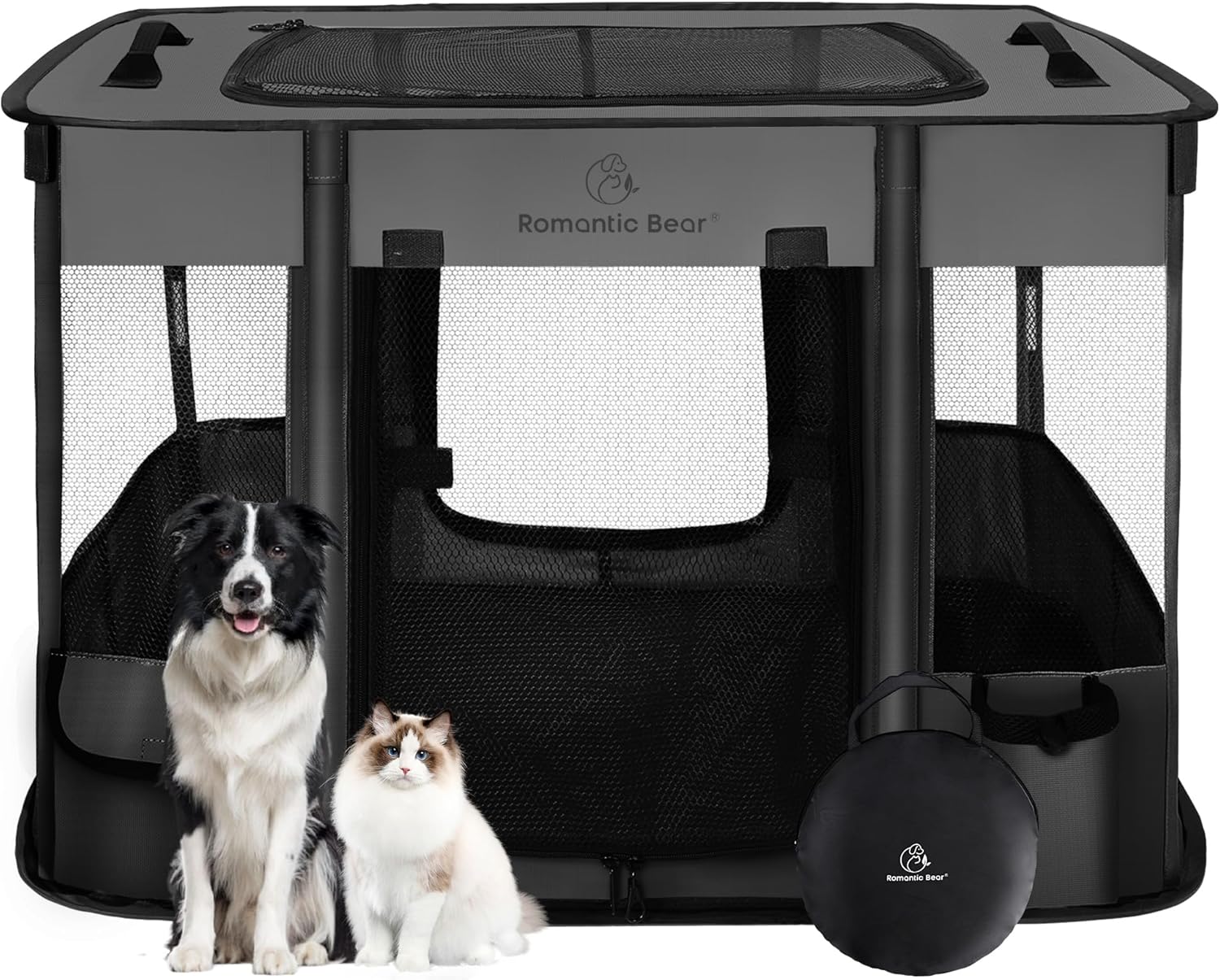 dog travel crate