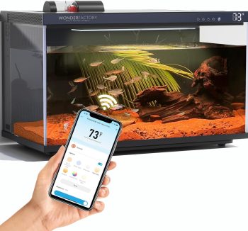 fish tank aquarium