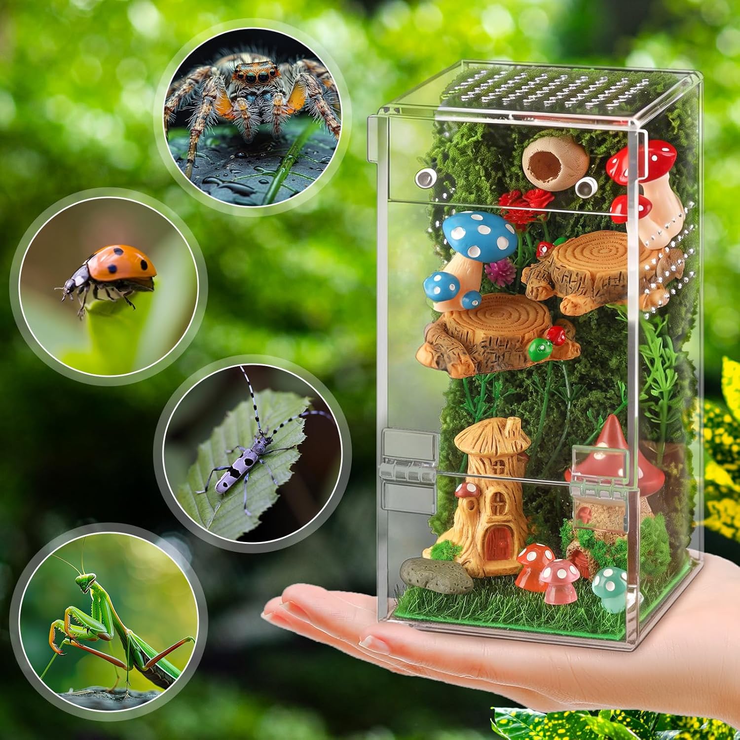 Jumping Spider Enclosure Kit Acrylic Terrarium Reptile Enclosure Accessories Insect Habitat for Mantis Tarantula Snail (Small) - Happypetzone.online - Image 5
