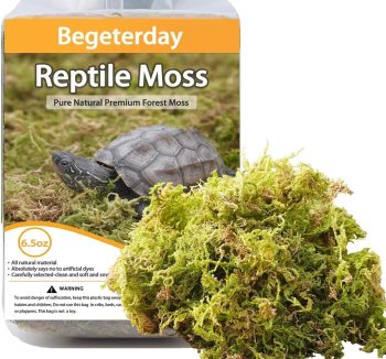 reptile substrate for humidity