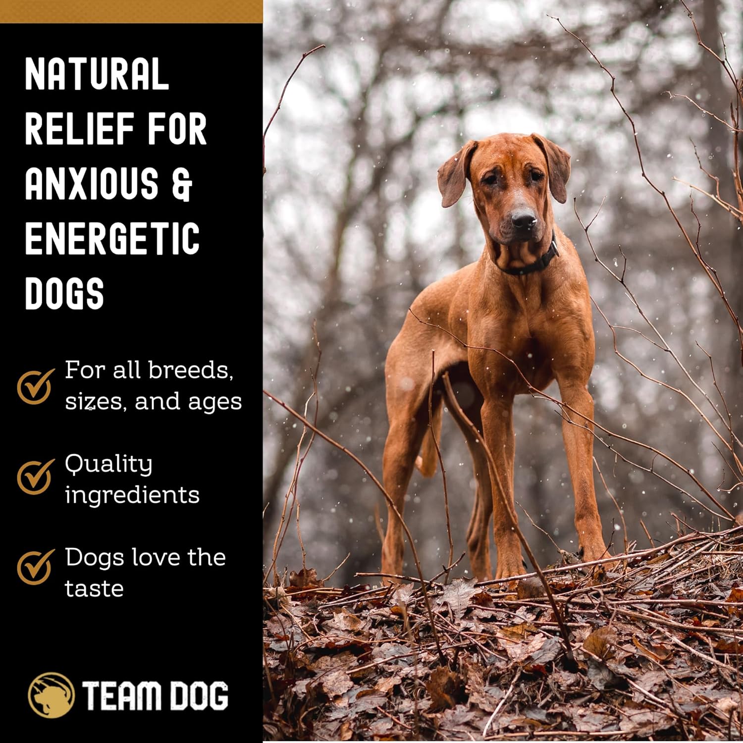 TEAM DOG Calming Chews - Anxiety Relief Treats | Natural Calming Bites with Melatonin, Chamomile, Valerian & Passion Flower | 120 Soft Chews for Large & Small Dogs | Delicious Peanut Butter Flavor - Happypetzone.online - Image 3