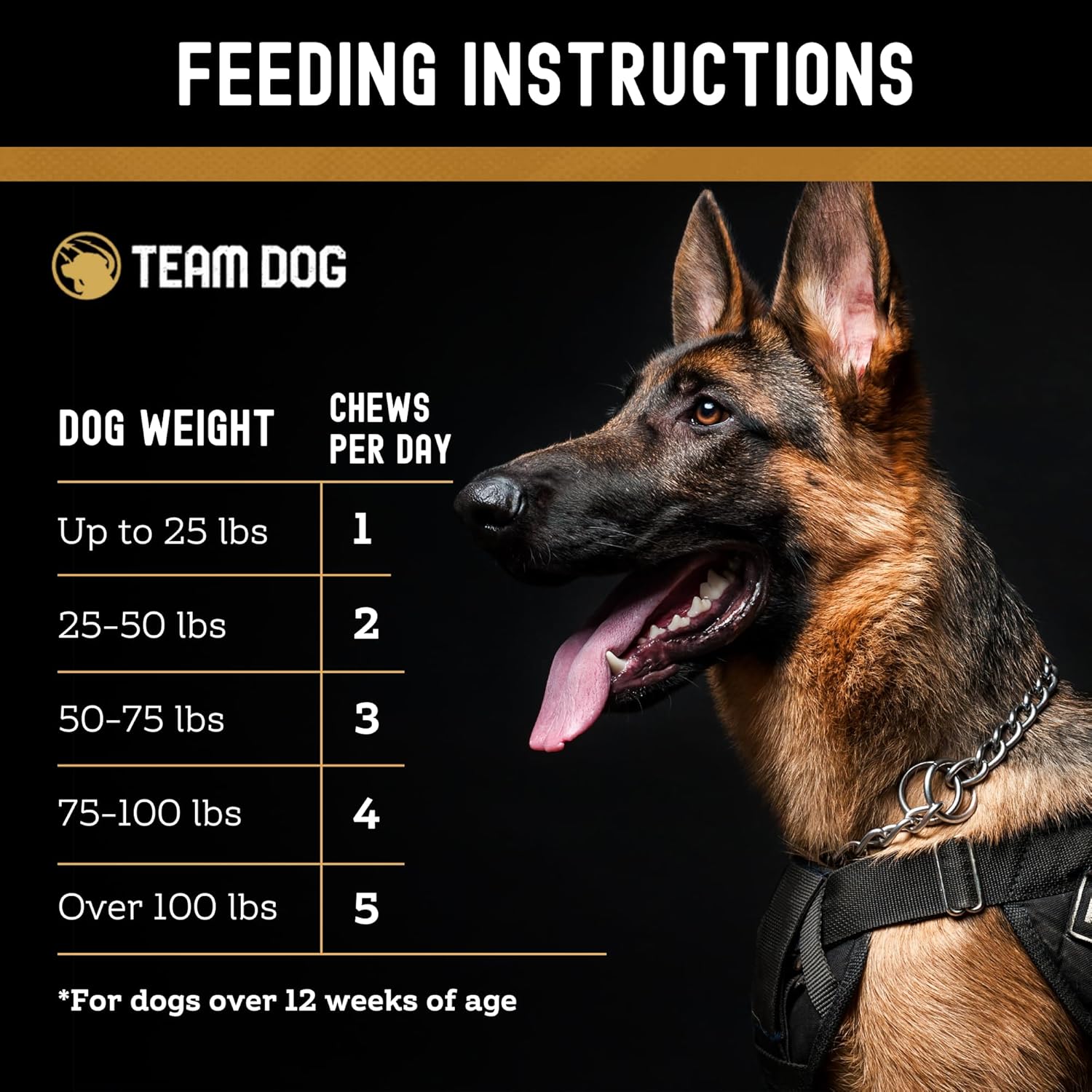 TEAM DOG Calming Chews - Anxiety Relief Treats | Natural Calming Bites with Melatonin, Chamomile, Valerian & Passion Flower | 120 Soft Chews for Large & Small Dogs | Delicious Peanut Butter Flavor - Happypetzone.online - Image 7