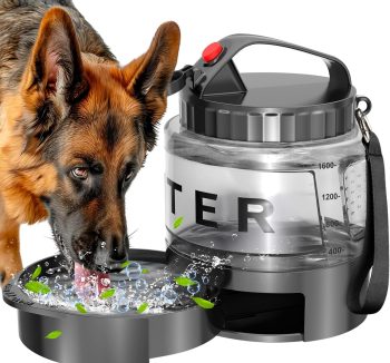 pet travel accessories dog