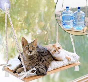 cat hammock window