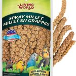 bird health care products