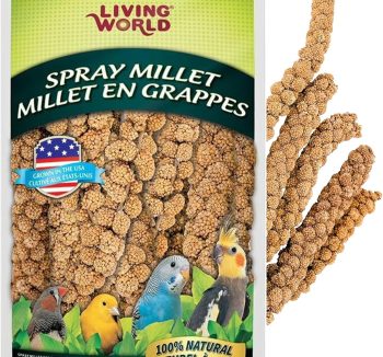 bird health care products