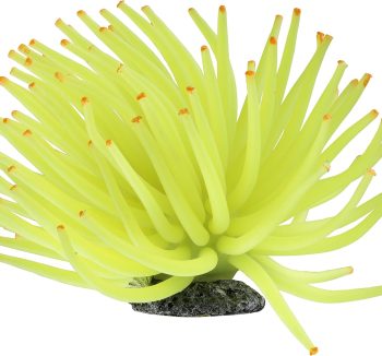cheap aquarium decorations