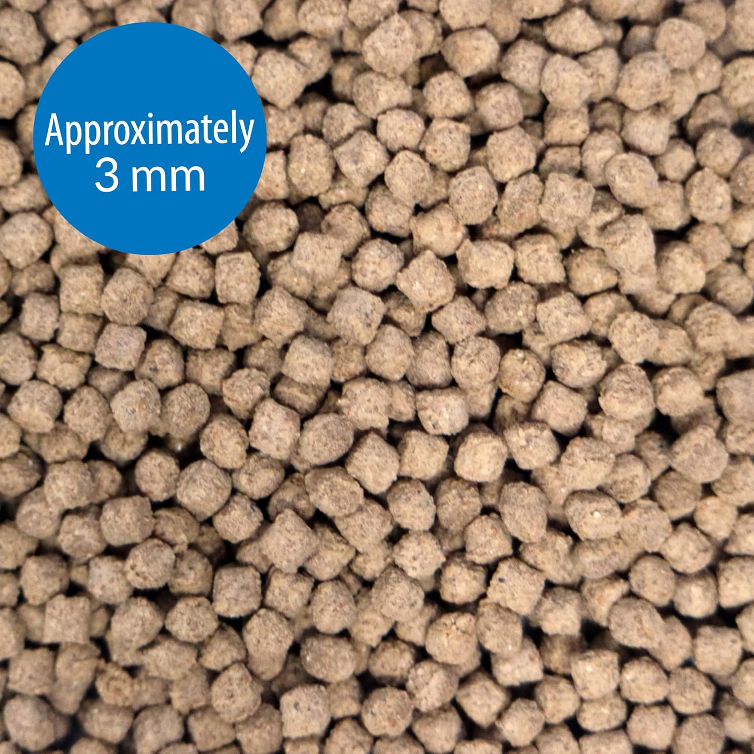 API BOTTOM FEEDER PELLETS WITH SQUID Fish Food 1.3-Ounce Container - Happypetzone.online - Image 2