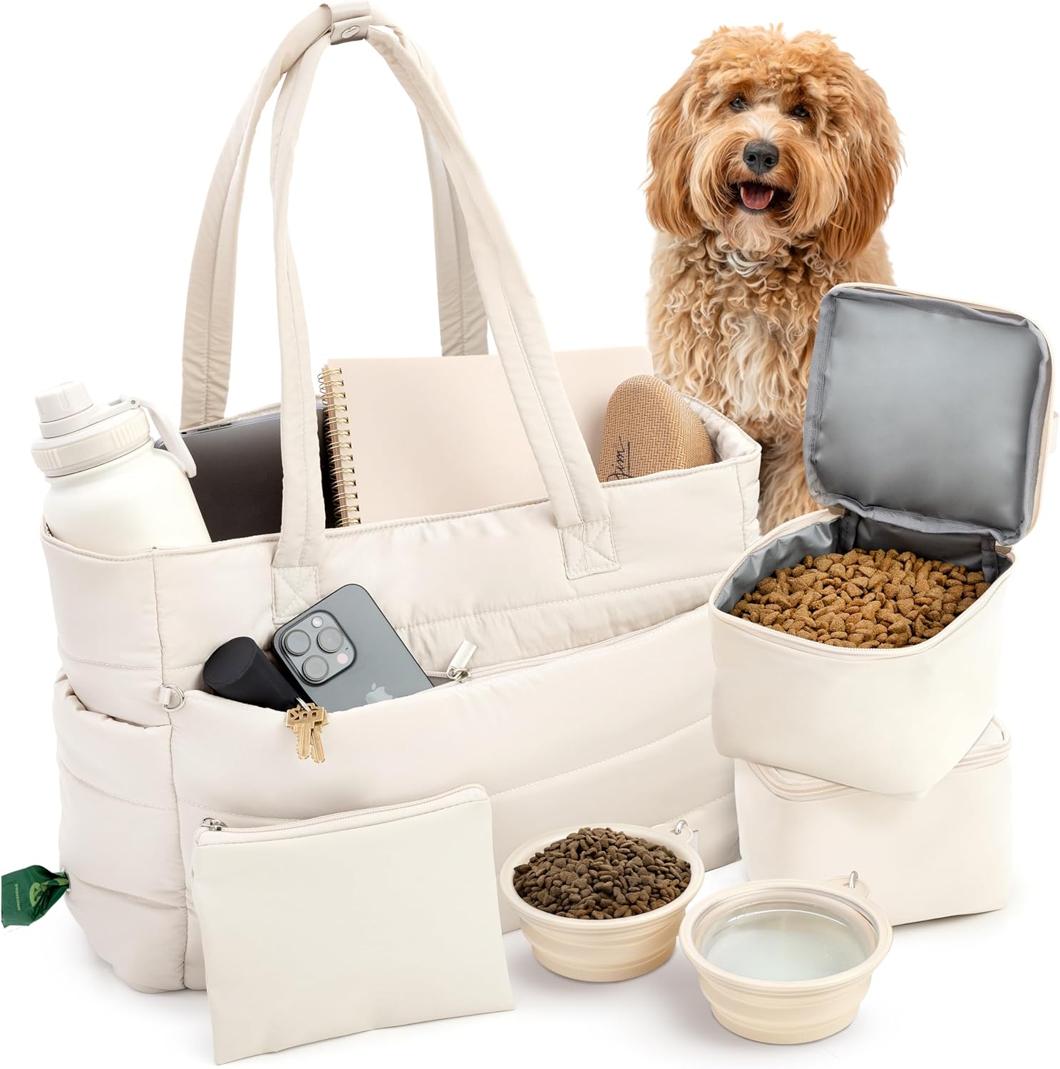 best dog travel gear
