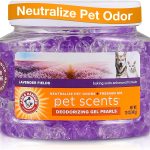 cat litter for odor removal
