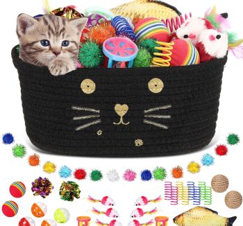 cat toy set bundle